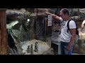 VLOG: Алушта. В Мире Джунглей. Сурикаты дрессированные.ЧАСТЬ 2
