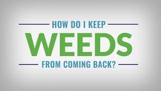 How to Keep Weeds From Coming Back with Roundup Max Control 365 and Roundup Extended Control