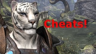 TESO - How to report a macro bot player cheat