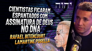 Cientistas surpresos com assinatura de Deus no DNA | Sequencia de Fibonacci Cientistas surpresos com assinatura de Deus no DNA | Sequencia de Fibonacci