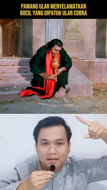 PAWANG ULAR MENYELAMATKAN BOCIL YANG DIPATUK ULAR COBRA‼️#shorts #alurcerita #storytelling