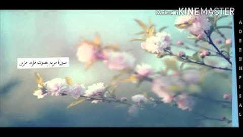 سورة مريم | مؤيد المزين | صوت عذب يأخذك لعالم اخر♡