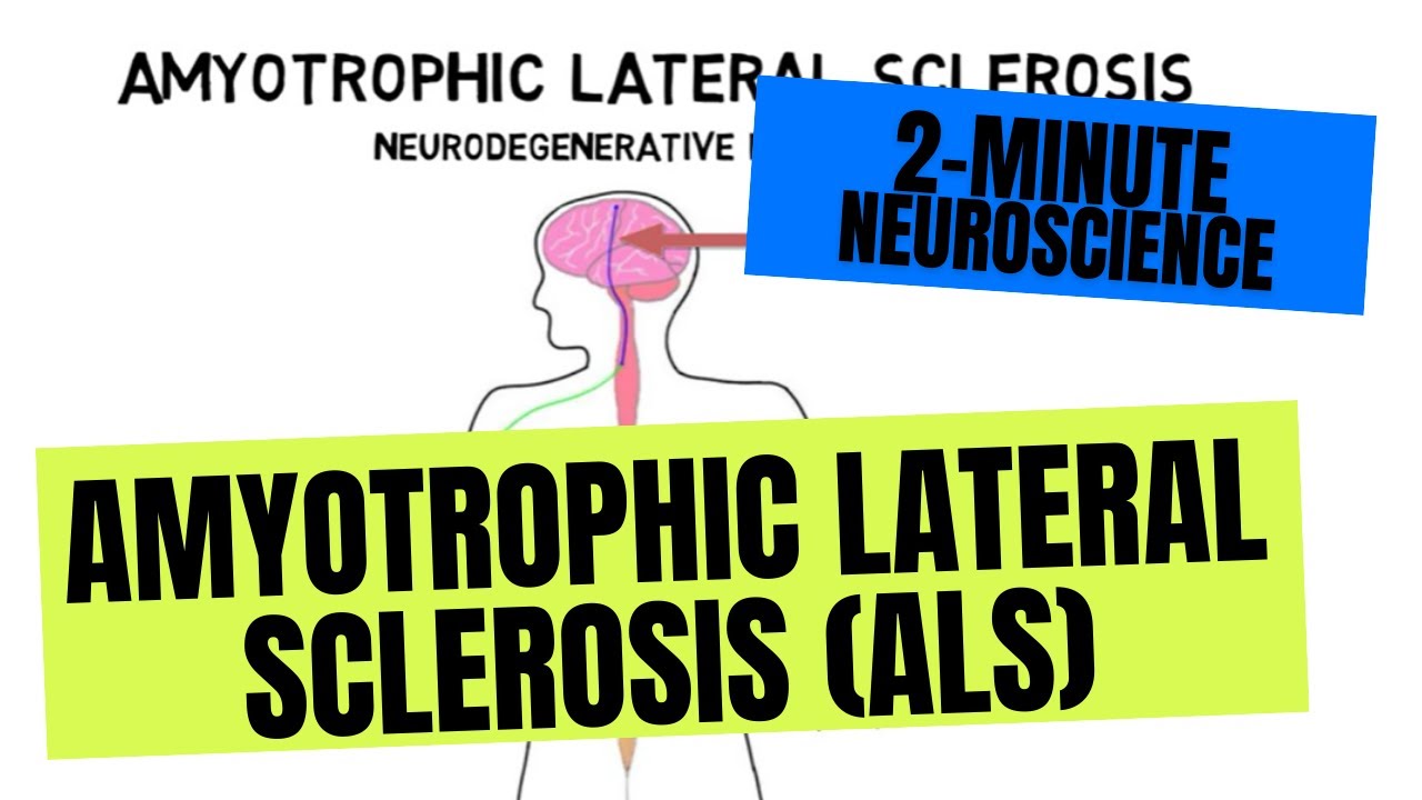 2 Minute Neuroscience Amyotrophic Lateral Sclerosis ALS