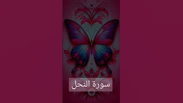 سورة النحل #اكسبلور #اكسبلورهاشتاقات #quran #دويتو #العظماء #duet #دعاء #المصحف #حالات_واتس #الرحمن