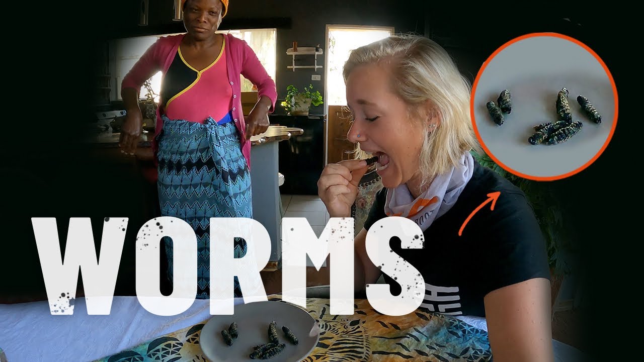 Trying to eat Mopane Worms for the first time Zimbabwe S5   Eps 78