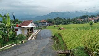 Download Lagu Rumah Impian di Tengah Alam Indah Sumedang, Suasananya Sejuk dan Syahdu setelah di Guyur Hujan MP3
