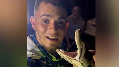 Impresionante momento en que “Gongo” atrapa inmensa culebra en Guaynabo