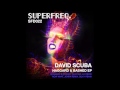 SFD022: David Scuba - Now What (Silky Remix)