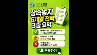 ♦️상속농지 세금 0원? '6개월 전략' 진짜 팩트만 알려드립니다 #상속세 #양도세 #농지상속