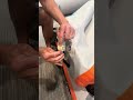How To Fix A Leaking Valve on Your REEF Mat | Diagnose and Repair a HR Valve Air Leak