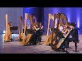 Capture de la vidéo Seven Harp Ensemble (She)