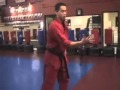 Jason lau martial arts highlight