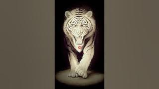 STORY WA MACAN PUTIH (DIAMKU BISA JADI MALAPETAKA)