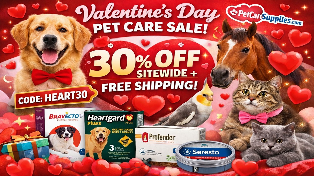 Heart-Stealing Pet Care Deals: 30% OFF + Free Shipping for Valentine's Day!