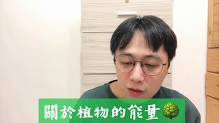 YoYo聊聊｜關於植物的能量｜植物溝通｜植物療癒