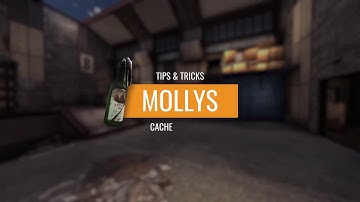 Cache B Default - Molly | PvPRO Tips & Tricks