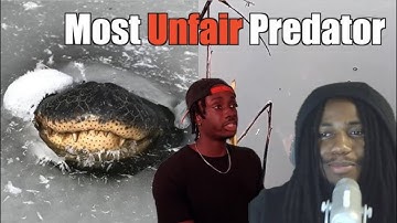 Why This Is The Scariest Predator Of All Time (Reaction) (CasualGeographic)