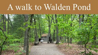 A walk to Walden Pond