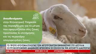 Το πρώτο κρούσμα ευλογιάς των αιγοπροβάτων εμφανίστηκε στο Δεσύλλα