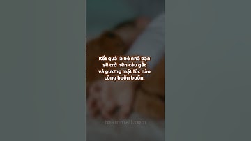 Giấc ngủ chợp mắt là cực kỳ quan trọng