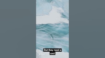 "Unveiling the Mystery: The Science Behind Fog Formation | Explained"  #shorts