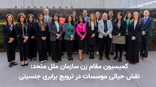 کمیسیون مقام زن سازمان ملل: نقش موسسات در ترویج برابری جنسیتی