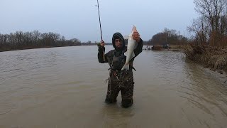 QUICK WALLEYE RUN 2022 UPDATE
