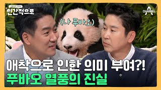 대한민국을 울린 판다(?) 우리가 푸바오와의 이별에 슬퍼하는 이유 | 인간적으로 2 회