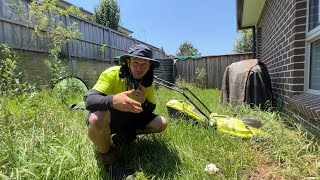 Working Mum was GHOSTED by a Lawnmower Man. We Clean it up for FREE! Extreme Lawn Detailing!