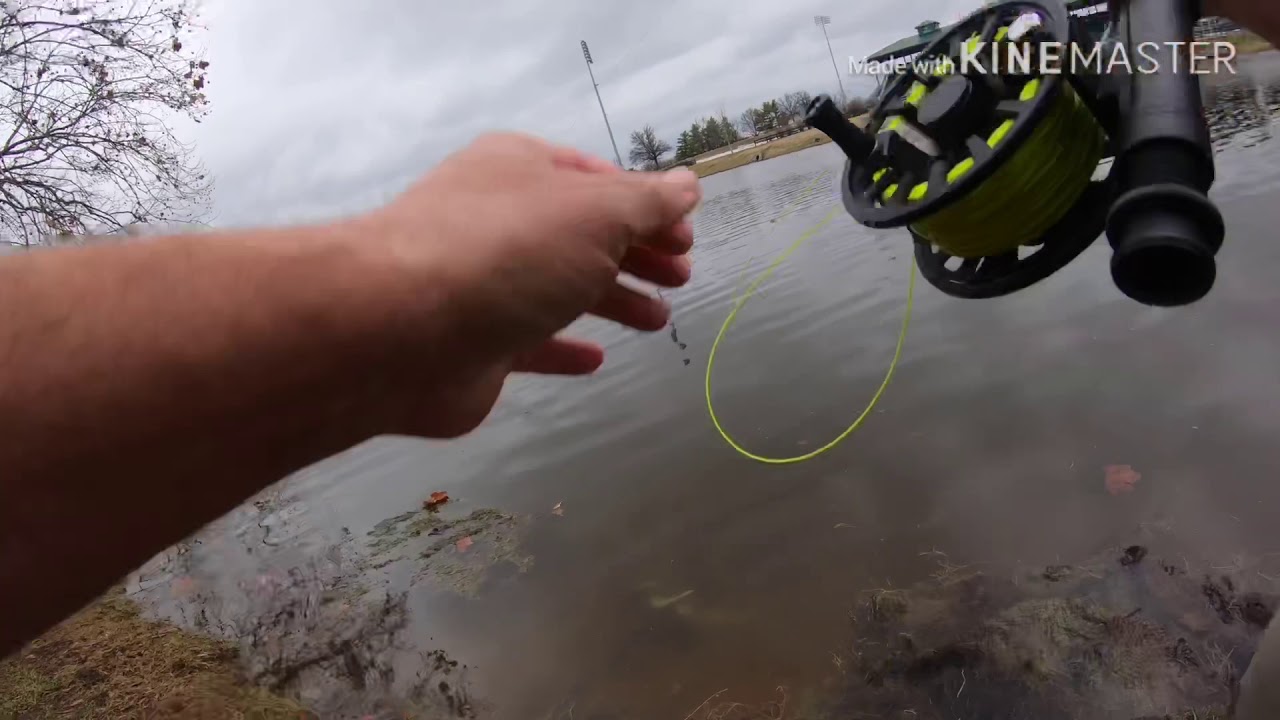 Trout Fishing Kentucky Horse Park YouTube