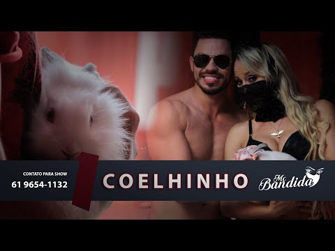 MC BANDIDA - CLIPE OFICIAL - COELHINHO