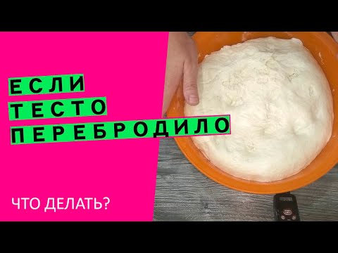 Если тесто перебродило😨 и ОПАЛО!  😱 Что делать? {Наглядный эксперимент}