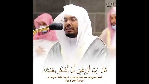 تلاوة خاشعة - (ووصينا الإنسان بوالديه إحسانا) - للشيخ/ ياسر الدوسري