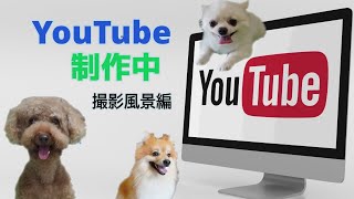 YouTube制作中「撮影風景編」 SONYデジタル一眼レフカメラα6400を使用し愛犬をモデルに撮影中です