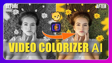 Video Colorizer in One Click | UniFab Colorizer AI VS Hitpaw Colorization