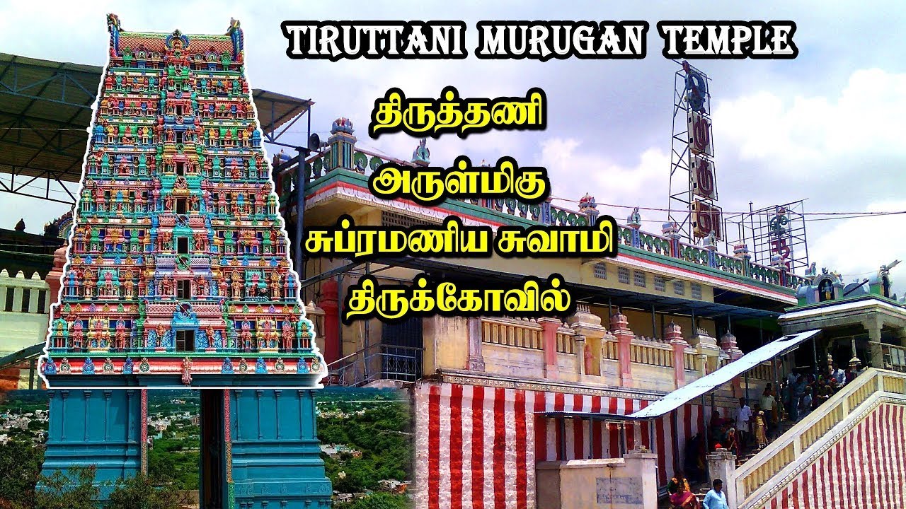 Tiruttani Sri Subramanya Swamy Temple VLog | Tiruttani Murugan Temple | Seenu Vlog 38