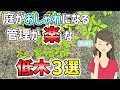 【管理が楽な植木】成長が遅くて大きくならず、植えるとお庭がおしゃれになり、紅葉の美しい、管理が楽な、おすすめの低木3選をご紹介致します。