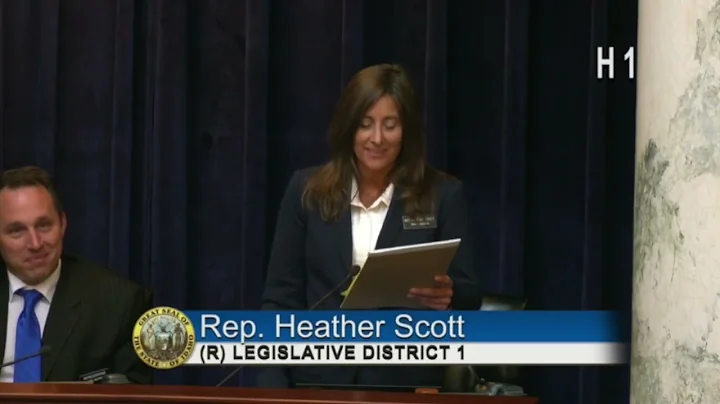 Rep. Heather Scott shreds Gov. Brad Little's speci...