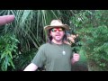 Beginning of video
