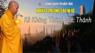 NIKAYA Trưởng Lão Ni Kệ 1 - Kẻ Khùng Thành Bậc Thánh