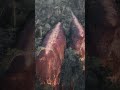 Необычная достопримечательность Тайланда. «Три каменных кита»