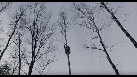 Portugal. The Man - Noise Pollution (Version A, Vocal Up Mix 1.3) [Official Music Video]