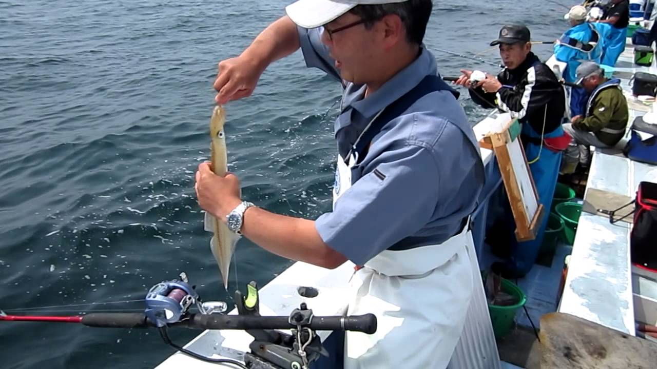 不動丸ヤリイカの魚探反応はバッチリ Youtube