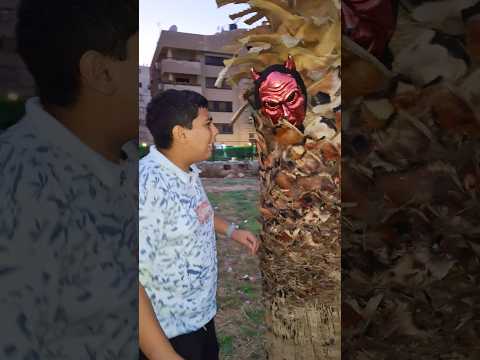 شاهد كيف عرف الذي يبوظ الشجره بطريقه ذكيه صلوا على النبي