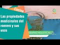 Las propiedades medicinales del romero y sus usos en la cocina | Cocina