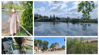 رحلة البحث عن خروف العيد🐑 سحر الطبيعة في الأطلس المتوسط 🌲بحيرة أمغاس لوحة فنية جمال رباني😍