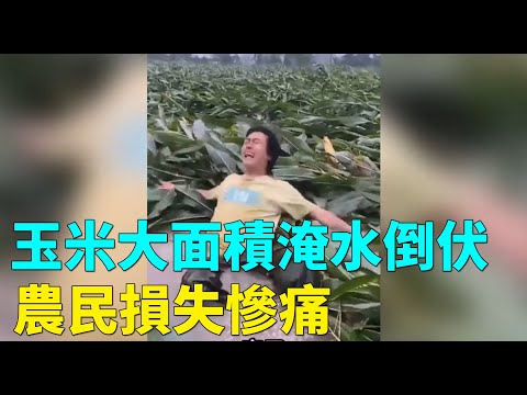 受台风影响 江苏现8级大风 东北暴雨降温