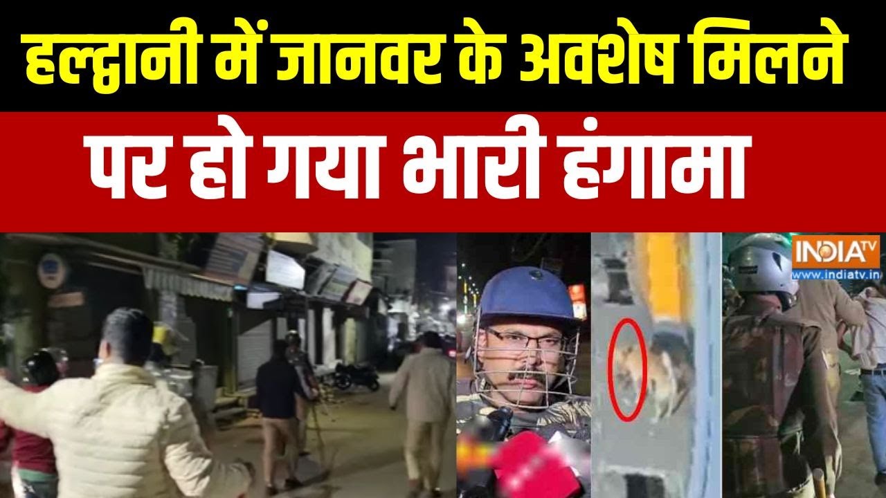 Haldwani News: हल्द्वानी में जानवर के अवशेष मिलने पर हंगामा, हिंदू संगठन हुए आक्रोशित । Uttarakhand