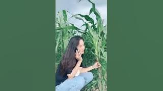 5 Menit Baru Paham 🤣