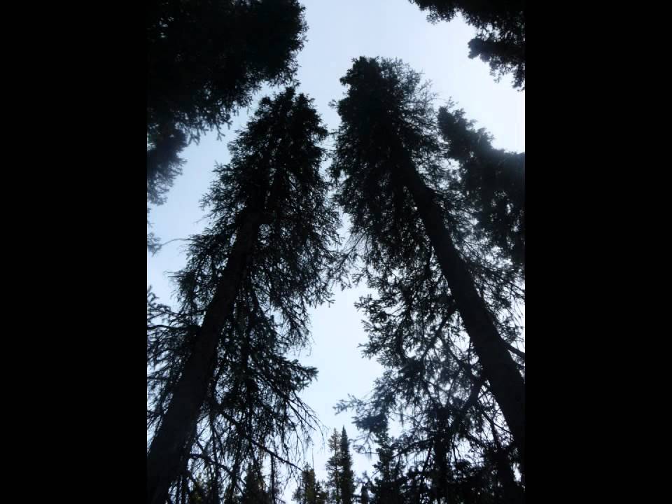 Canadian State Of Mind:  First Impressions